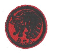 Raccoon Patrol Patch