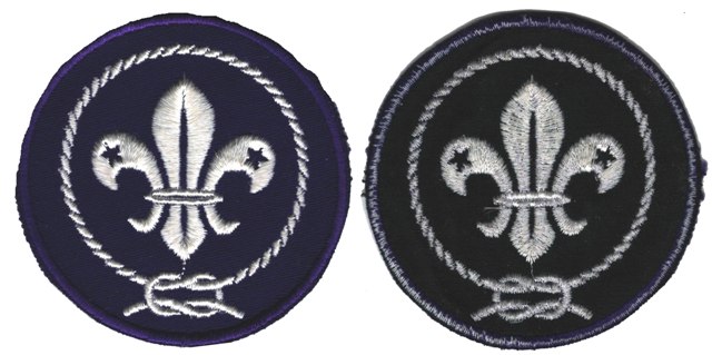 BSA World Crest Scout Emblem Patch - #3