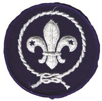 BSA World Crest Scout Emblem Patch - #2
