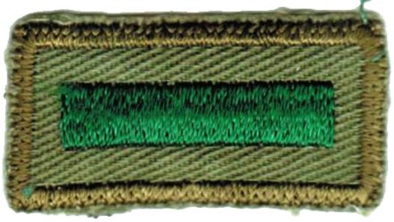 Assistant Patrol Leader Patch (1965 - 1971)