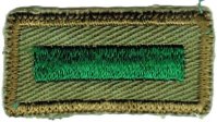 Assistant Patrol Leader Patch (1965 - 1971)