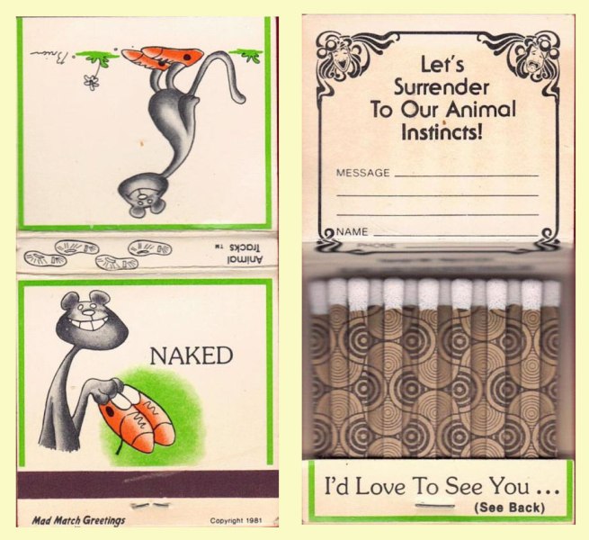 Matchbook - Mad Match Greeting (Cat)