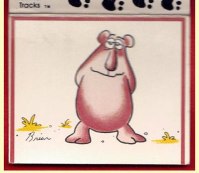 Matchbook - Mad Match Greeting (Bear)