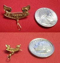 "Mother's" (Parents) 2nd Class Pins (set of 2)