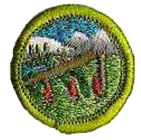 Merit Badge - Wilderness Survival (1973 – 2002) (Clear)
