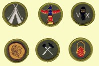 Merit Badges (Type F) - PACKAGE DEAL