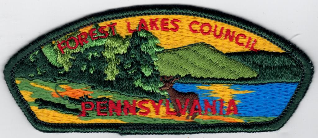 CSP – Forest Lakes Council S-1