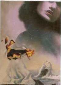 Jim Warren 2	- More Beyond Bizarre - 25 Trading Card Lot