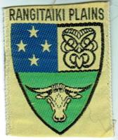 Rangitaiki County Patch - New Zealand