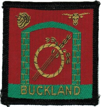 NSW Buckland District Patch - Australia