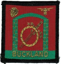 NSW Buckland District Patch - Australia