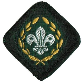 Great Britain - Scout Patch